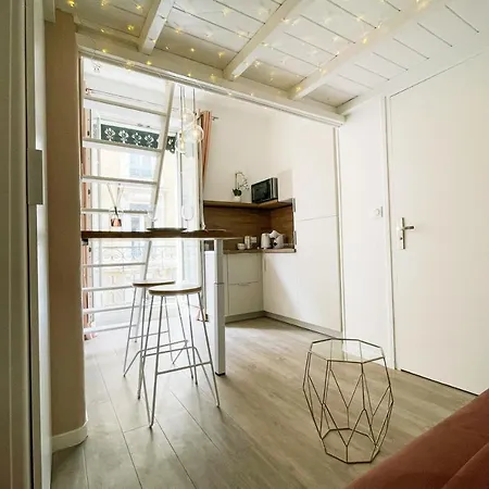 Apartament Studio Championnet Humbert Ii Centre #fc Grenoble
