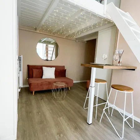 Apartament Studio Championnet Humbert Ii Centre #fc Grenoble